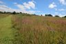 A Grassy Field On A Sunny Day
