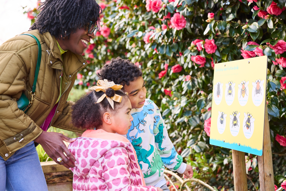Family Looks At Bee Sign 2024