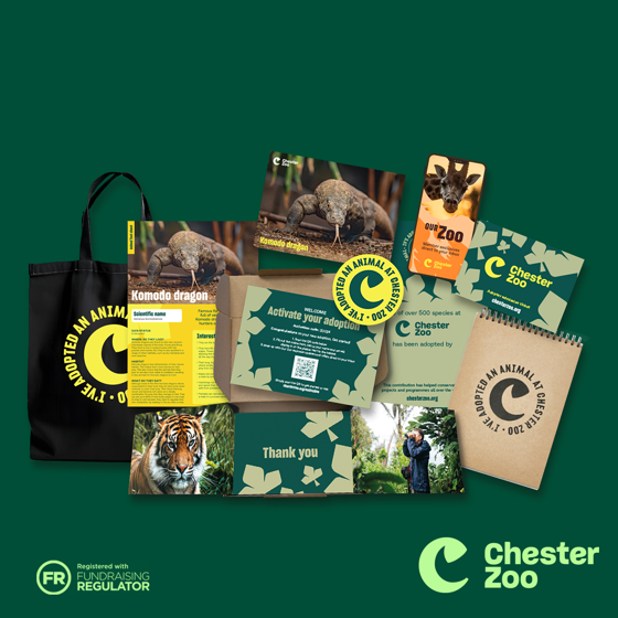 Packshot Komodo Dragon 1 1